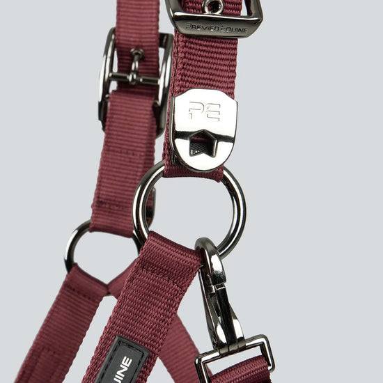 Corda Padded Head Collar with Lead Rope Brown by Premier Equine Int. at  Try A Bit