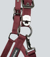 Corda Padded Head Collar with Lead Rope Brown by Premier Equine Int. at  Try A Bit