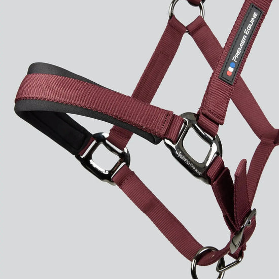 Corda Padded Head Collar with Lead Rope Brown by Premier Equine Int. at  Try A Bit