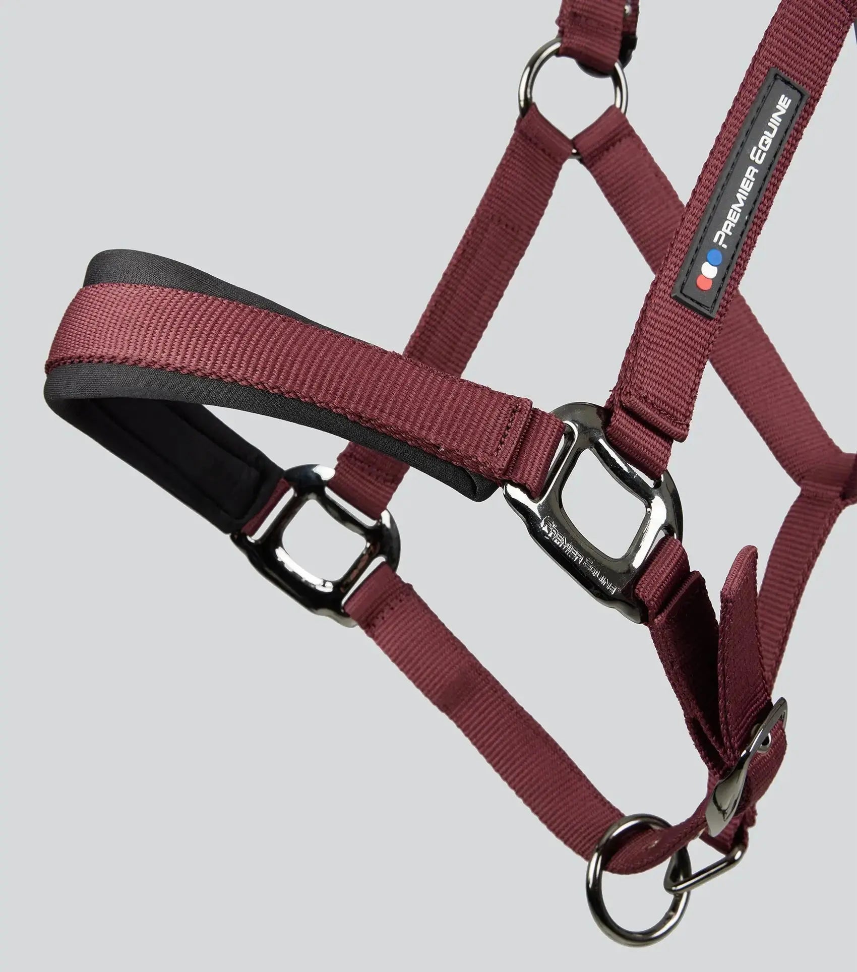 Corda Padded Head Collar with Lead Rope Brown by Premier Equine Int. at  Try A Bit