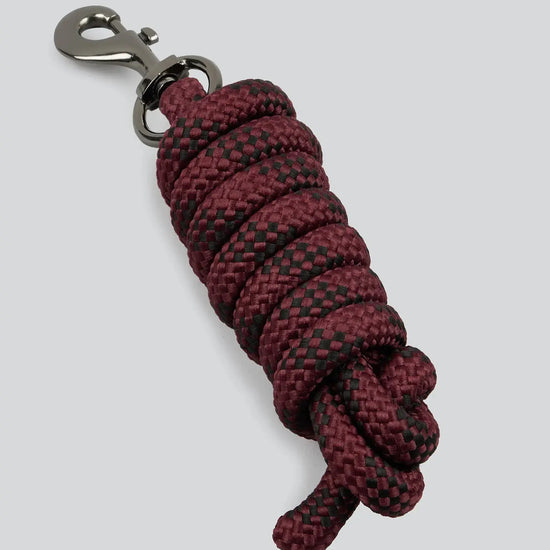 Corda Padded Head Collar with Lead Rope Brown by Premier Equine Int. at  Try A Bit