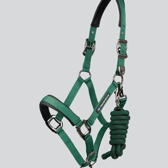 Corda Padded Head Collar with Lead Rope Brown by Premier Equine Int. at  Try A Bit