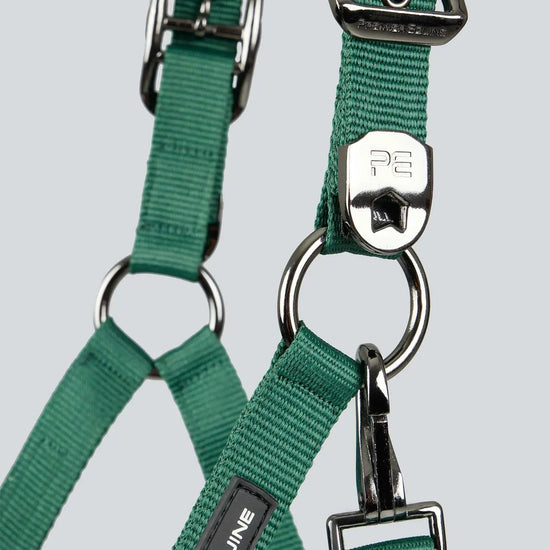 Premier Equine Corda Padded Head Collar with Lead Rope by Premier Equine at  Try A Bit