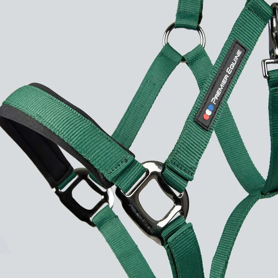 Corda Padded Head Collar with Lead Rope Green by Premier Equine Int. at  Try A Bit