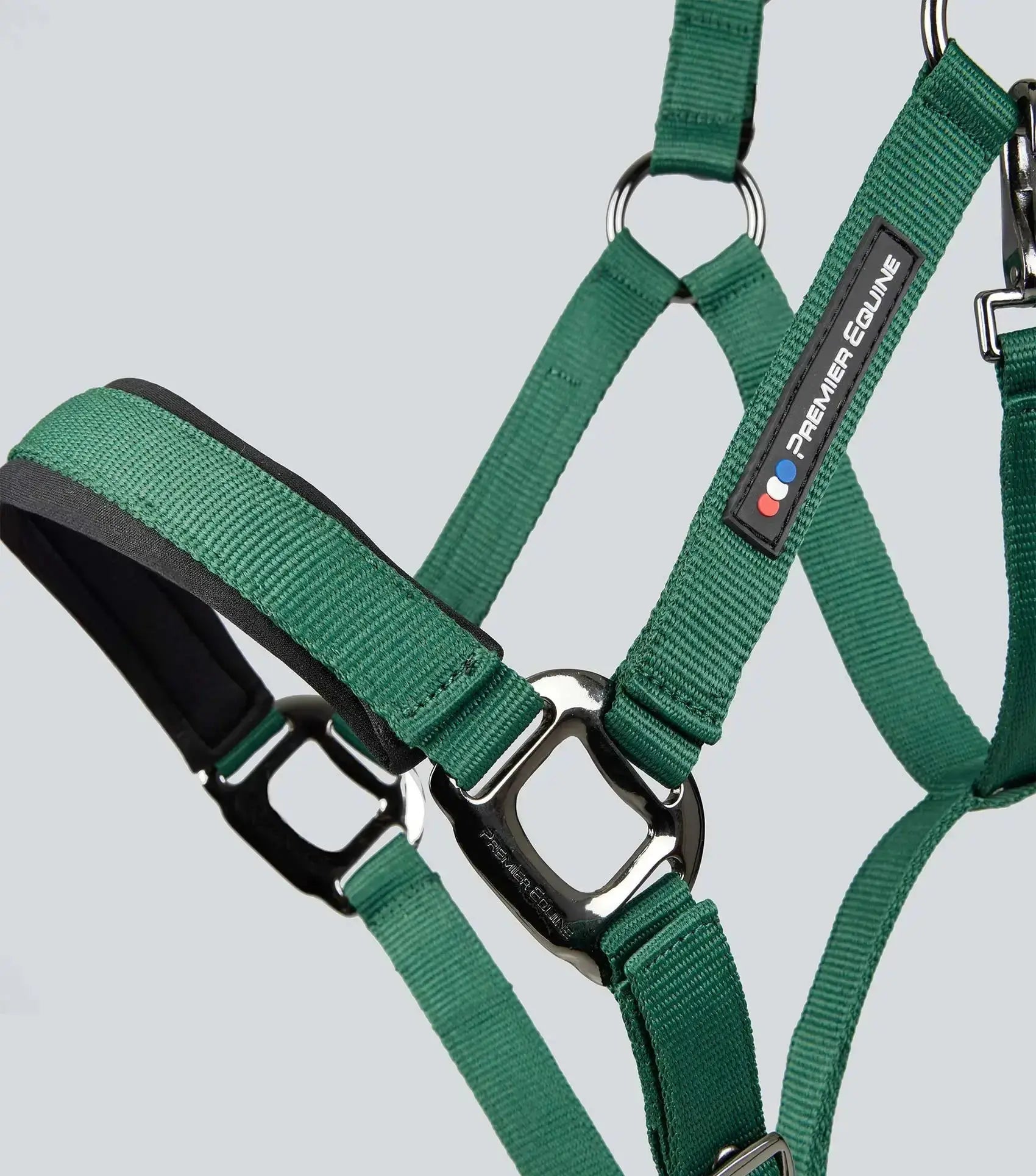 Corda Padded Head Collar with Lead Rope Green by Premier Equine Int. at  Try A Bit