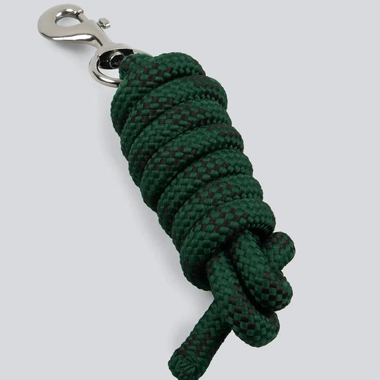 Premier Equine Corda Padded Head Collar with Lead Rope by Premier Equine at  Try A Bit