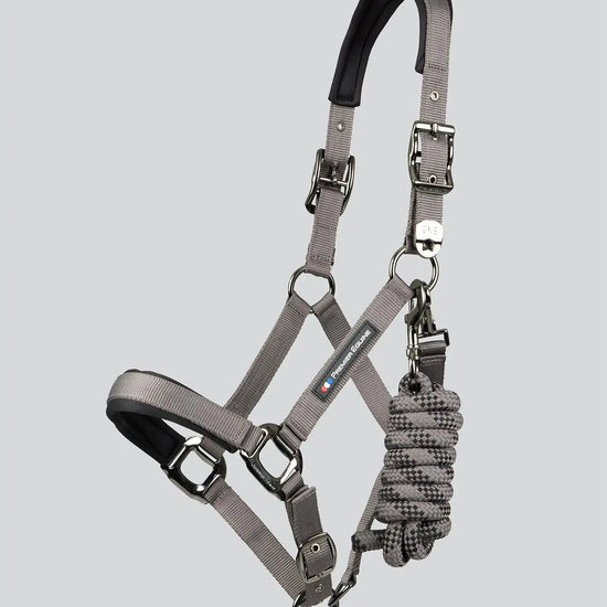 Corda Padded Head Collar with Lead Rope Brown by Premier Equine Int. at  Try A Bit