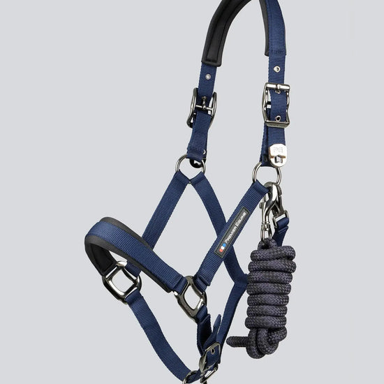 Premier Equine Corda Padded Head Collar with Lead Rope by Premier Equine at  Try A Bit