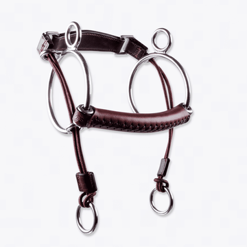 Trust Leather Mullen-Curb Gag by Trust Equestrian at  Try a Bit