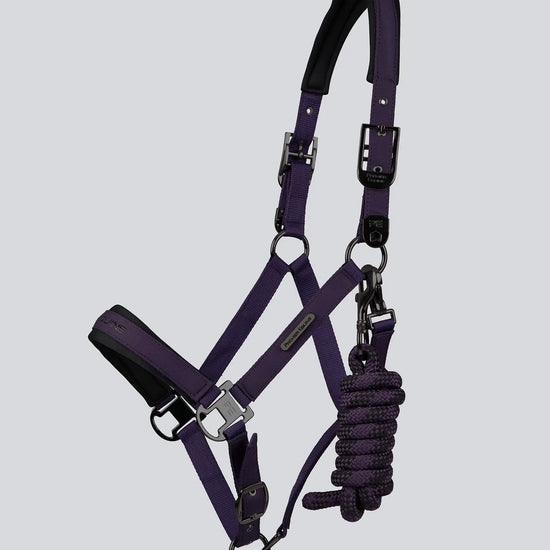 Duco Padded Head Collar with Lead Rope Grape by Premier Equine Int. at  Try A Bit