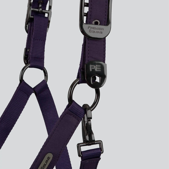Duco Padded Head Collar with Lead Rope Grape by Premier Equine Int. at  Try A Bit