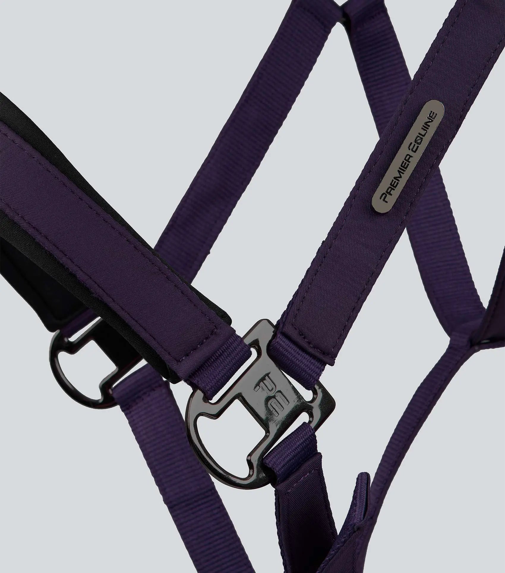 Duco Padded Head Collar with Lead Rope Grape by Premier Equine Int. at  Try A Bit
