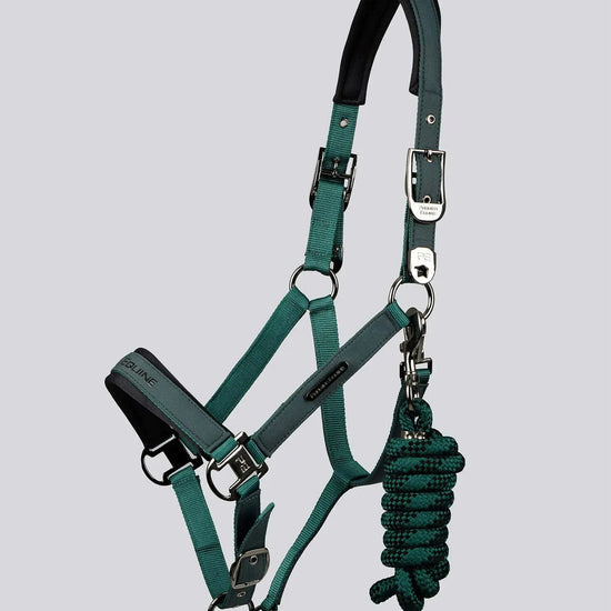 Duco Padded Head Collar with Lead Rope by Premier Equine Int. at  Try A Bit