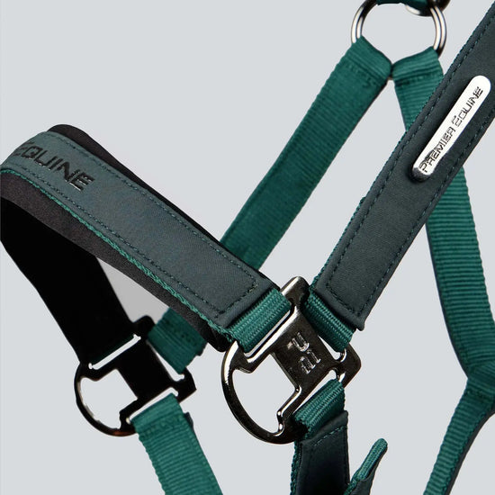 Duco Padded Head Collar with Lead Rope by Premier Equine Int. at  Try A Bit
