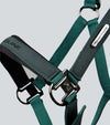 Duco Padded Head Collar with Lead Rope by Premier Equine Int. at  Try A Bit