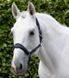 Duco Padded Head Collar with Lead Rope by Premier Equine Int. at  Try A Bit