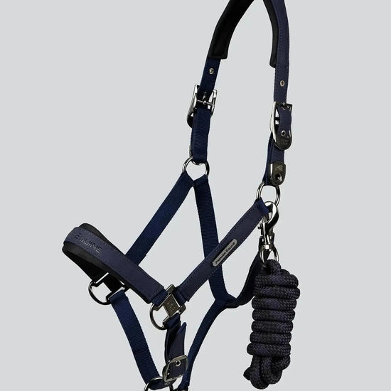 Duco Padded Head Collar with Lead Rope by Premier Equine Int. at  Try A Bit