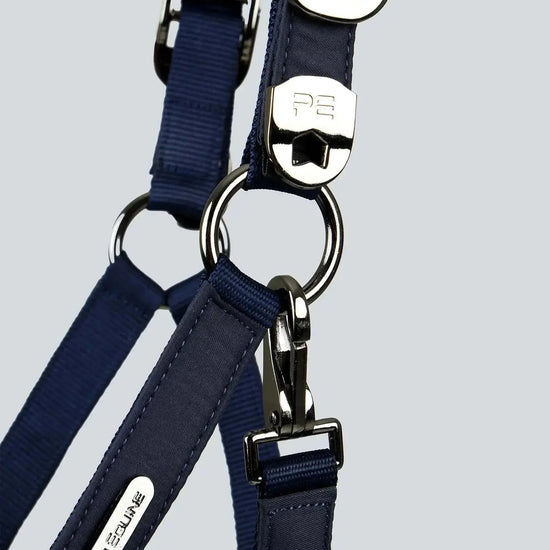 Duco Padded Head Collar with Lead Rope by Premier Equine Int. at  Try A Bit