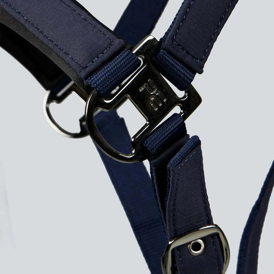 Duco Padded Head Collar with Lead Rope by Premier Equine Int. at  Try A Bit