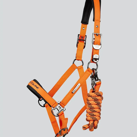 Duco Padded Head Collar with Lead Rope by Premier Equine Int. at  Try A Bit