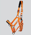 Duco Padded Head Collar with Lead Rope by Premier Equine Int. at  Try A Bit