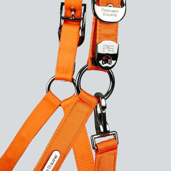 Duco Padded Head Collar with Lead Rope by Premier Equine Int. at  Try A Bit