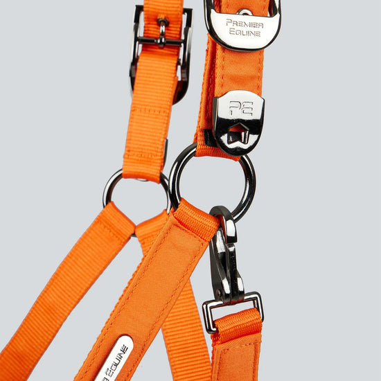 Duco Padded Head Collar with Lead Rope Orange by Premier Equine Int. at  Try A Bit