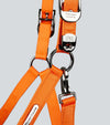 Duco Padded Head Collar with Lead Rope Orange by Premier Equine Int. at  Try A Bit