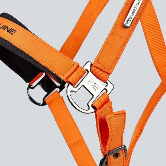 Duco Padded Head Collar with Lead Rope by Premier Equine Int. at  Try A Bit