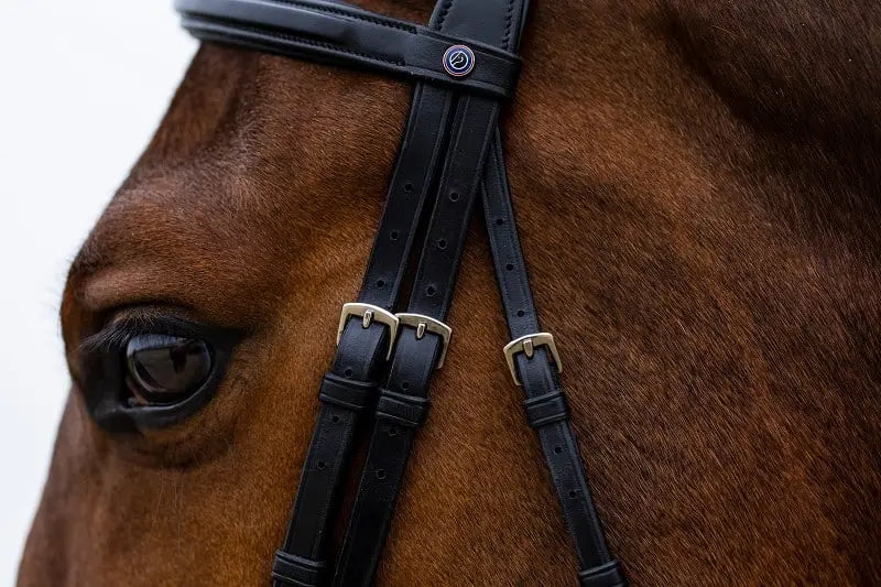 Trust Equestrian Amsterdam Anatomical Bridle by Trust Equestrian at  Try a Bit