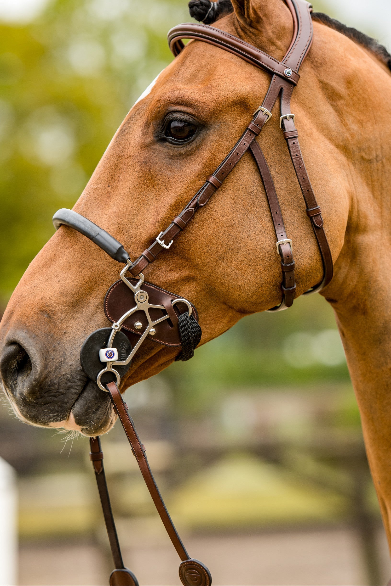 Trust Hackamore Protector by Trust at  Try A Bit