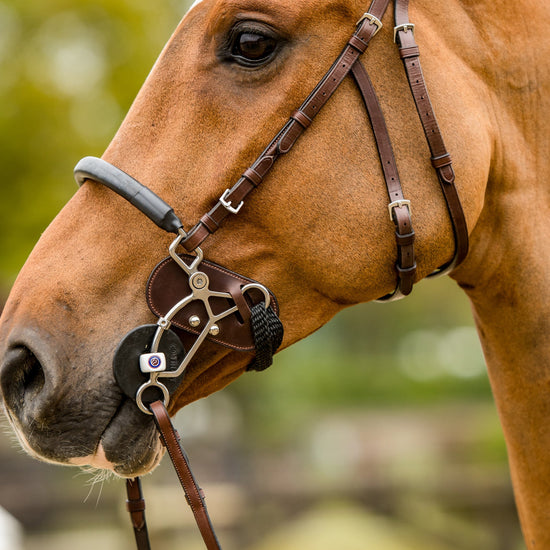 Trust Hackamore Protector by Trust at  Try A Bit