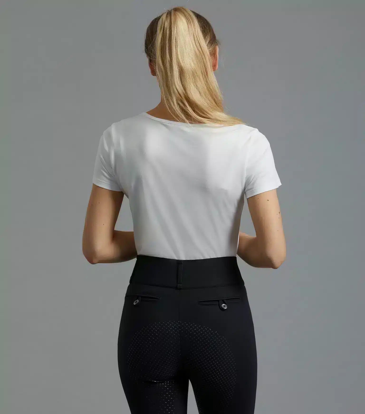 Premier Equine Fiero Ladies Cotton T-Shirt by Premier Equine at  Try a Bit