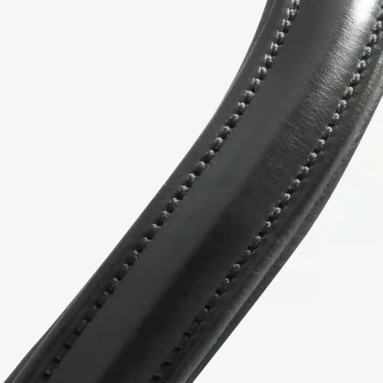 Premier Equine Liscio Plain Shaped Leather Browband by Premier Equine at  Try a Bit