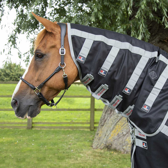 Premier Equine Magni-Teque Magnetic Horse Rug with Neck Cover by Premier Equine at  Try a Bit