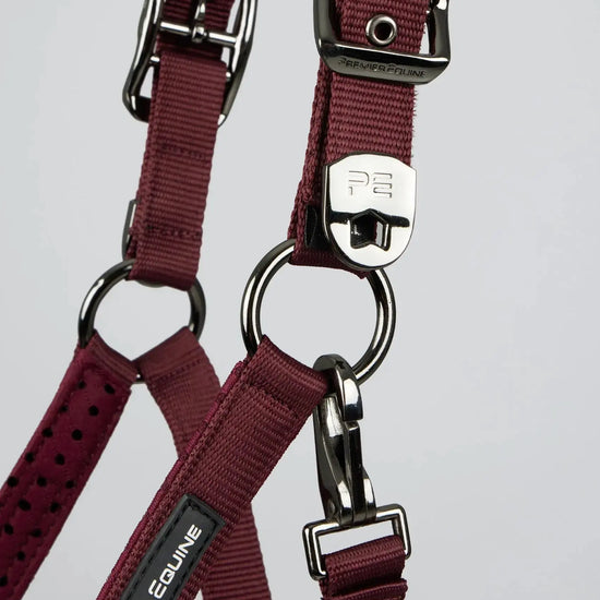 Necto 3D Mesh Head Collar with Lead Rope Grey by Premier Equine Int. at  Try A Bit