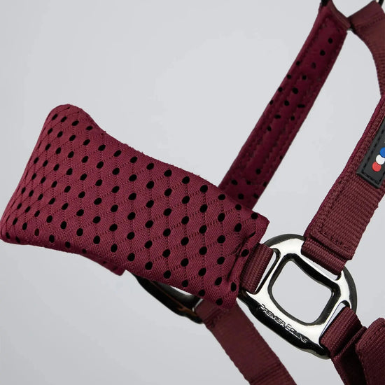 Necto 3D Mesh Head Collar with Lead Rope Grey by Premier Equine Int. at  Try A Bit