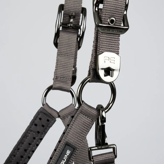 Necto 3D Mesh Head Collar with Lead Rope Grey by Premier Equine Int. at  Try A Bit
