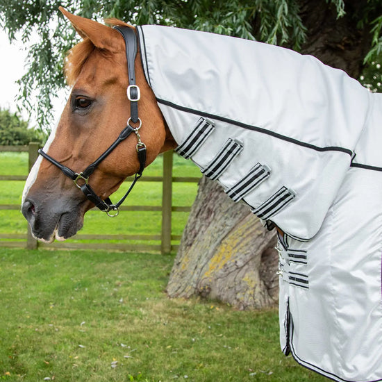 Premier Equine ShowerTex Fly Rug with Surcingles by Premier Equine at  Try a Bit