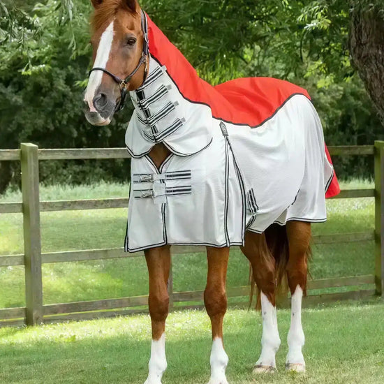 Premier Equine ShowerTex Fly Rug with Surcingles by Premier Equine at  Try a Bit