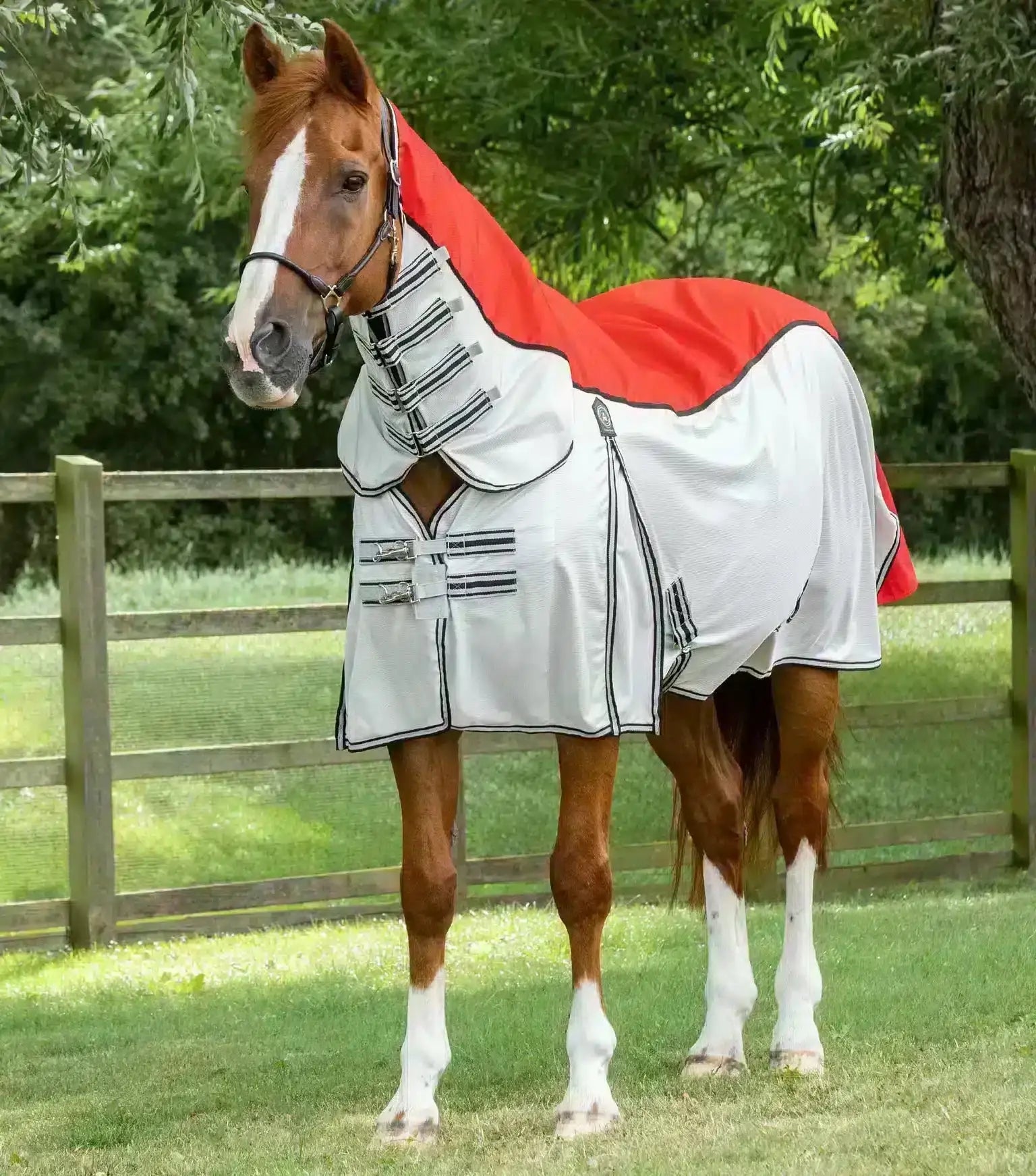 Premier Equine ShowerTex Fly Rug with Surcingles by Premier Equine at  Try a Bit