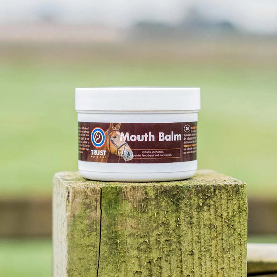 Trust Mouth Balm by Trust Equestrian at  Try A Bit