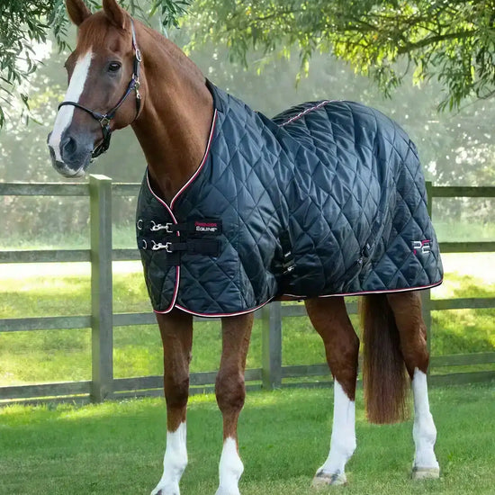 Premier Equine Tuscan Stable Rug 100g by Premier Equine at  Try a Bit