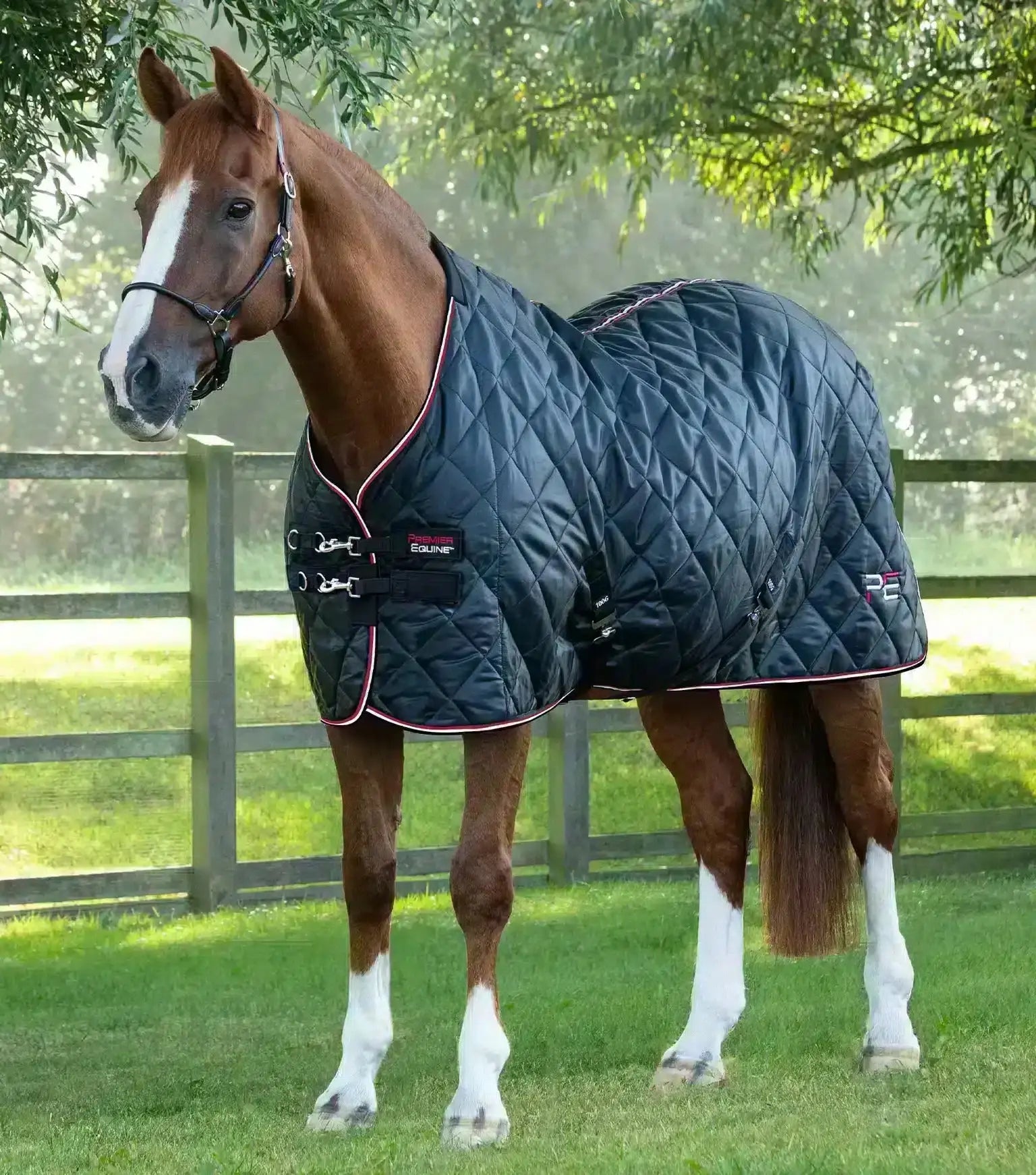 Premier Equine Tuscan Stable Rug 100g by Premier Equine at  Try a Bit