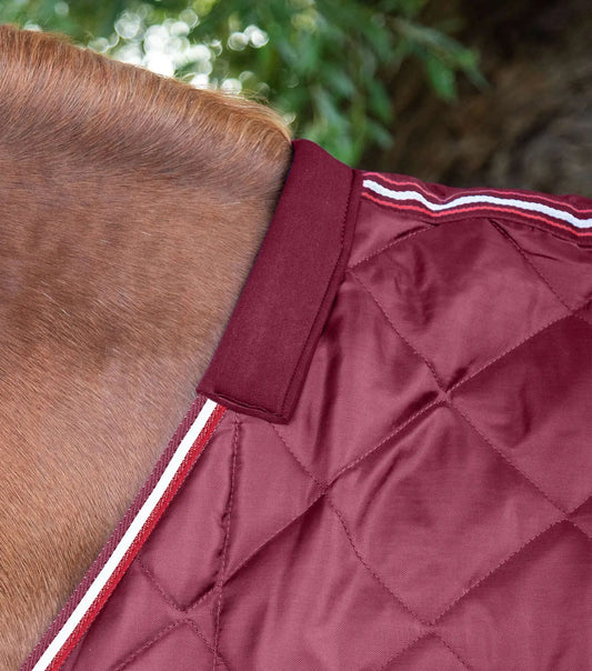 Premier Equine Tuscan Stable Rug 100g by Premier Equine at  Try a Bit