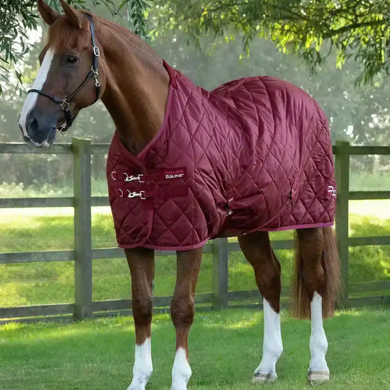 Premier Equine Tuscan Stable Rug 200g by Premier Equine at  Try a Bit