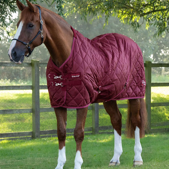 Premier Equine Tuscan Stable Rug 100g by Premier Equine at  Try a Bit