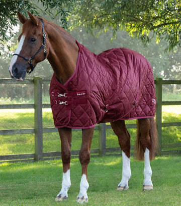 Premier Equine Tuscan Stable Rug 100g by Premier Equine at  Try a Bit